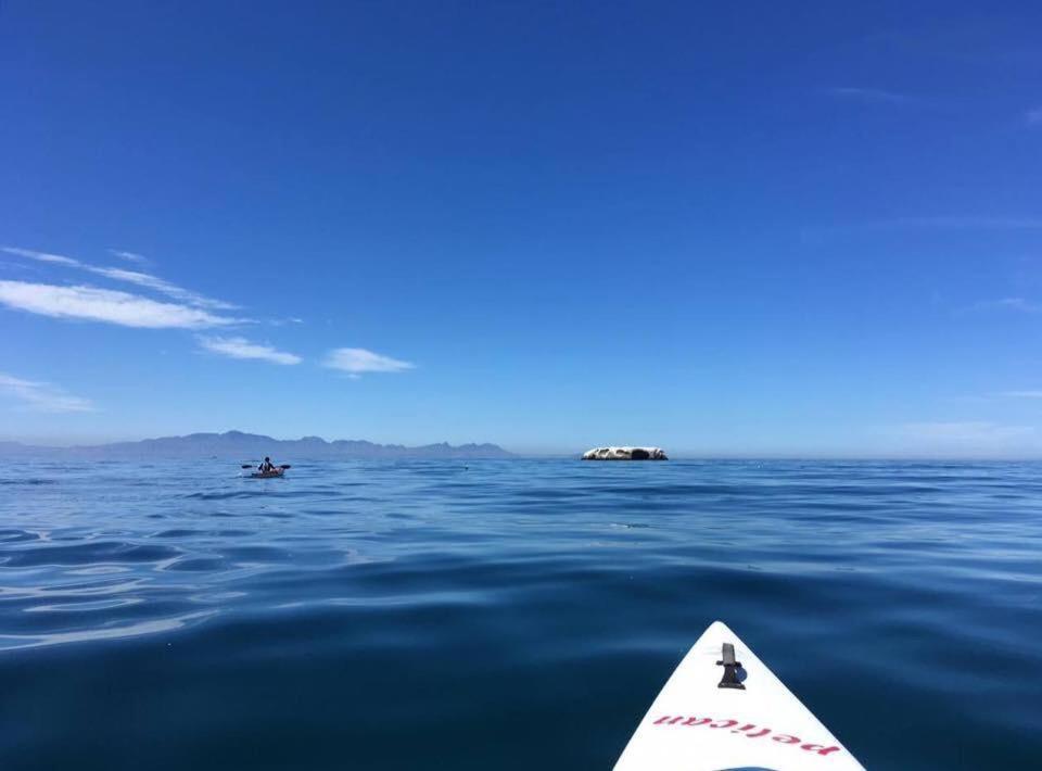Simonʼs Town Eindelikヴィラ エクステリア 写真